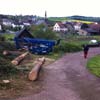Baum- und Problemfällung / Baumpflege