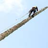 Baum- und Problemfällung / Baumpflege