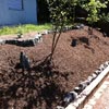 Garten- & Landschaftspflege / GaLa-Bau