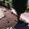 Garten- & Landschaftspflege / GaLa-Bau